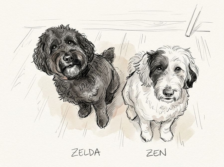 Pencil and watercolor sketch of Zelda, a black curly dog, and Zen, a white shaggy dog with a dark eye patch, sitting side by side.